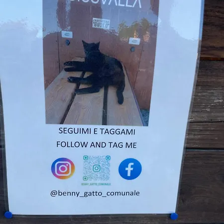 Casa de hóspedes Il Nuovo Cavallo Bianco Giusvalla